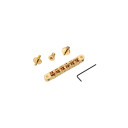 TonePros NVR2 G Tune-O-Matic Bridge