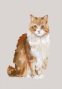 Professional Supervision fluffy cat oil painting Plakat Plakat / 30x40cm