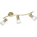 Trio Lighting Levisto spotter i tak 3 spotter