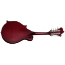 Epiphone F-5 Studio Wine Red Satin