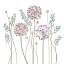 Allium Plakat / 30x30