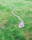Vannsprutende slange 3 meter