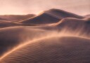 Golden Desert Solitude Plakat / 21x30