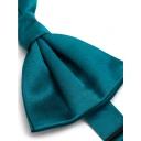 Dolce & Gabbana Herre Accessories Grønn ONE SIZE,