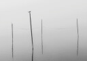 Misty Reflections in Black and White Plakat Plakat / 30x40cm