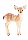 Baby Deer With Spots Plakat Plakat / 30x40cm