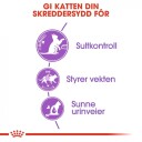 Royal Canin Appetite Control Tørrfôr for katter 2 kg med fokus på magehelse