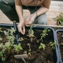 Fiskars Solid Smal Planteringsspade - Ergonomisk Hageredskap for Planting