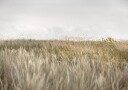 Dunes and Clouds 2 Plakat / 21x30cm