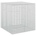vidaXL Gabion med 3,5 mm wire og 5x2,5 cm nett 100x100x100 cm