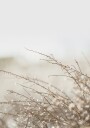Branches Plakat Plakat / 30x40cm