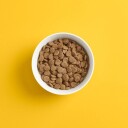 Smaak Dog Adult Grain Free Lam 10 kg