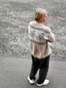 422S-08b WINGS CHUNKY herre