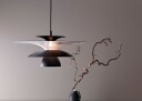 Belid Picasso Pendel Ø38 Mattsort LED