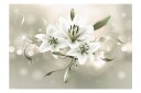 Fototapet Lily Flower Of Masters 350x245 - Artgeist sp. z o. o.