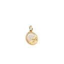 Pandora Pegasus 14K Gold-Plated Medallion With Golden White Bioresin Man-Made Mother Of Pearl - Gold - ONE SIZE