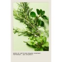 Aveda Rosemary Mint Shampoo  1000 ml