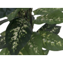 Europalms Dieffenbachia, 120cm