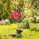 360º vanningsprinkler - 36 dyser