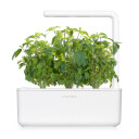 Click and Grow Smart Garden Refill 3-pack Thai Basil