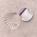 Catrice Seashell Stories Seashell Face & Body Brush
