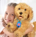 My Fuzzy Friend Moji den Elskværdige Labradoodle DK/NO 30399