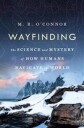 O'Connor M R Wayfinding