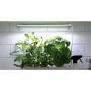 Nelson Garden 5564 LED-Vekstbelysning Small, 15 w, Med Adapter