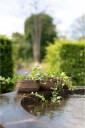 Wikholm Form Luna Planter 3 pakning Brun