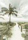 Tropical Beach Pathway Plakat / 100x150
