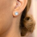 Lily and Rose New Miss Sofia Earrings Sky blue
