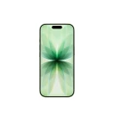 Apple iPhone 17 256GB 5G med OLED 6,3" Skjerm i Sage