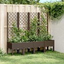 Plantekasse med espalier brun 160x40x142 cm PP