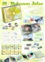 Onewe  Surface: Unknown Atlas  CD