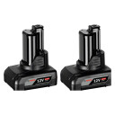 Bosch 12V 6,0Ah batteri 2 pack