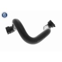 VAICO V22 1176 Radiatorslange