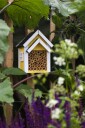 Bee Hotel, Yellow