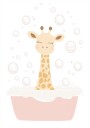 Giraffe Bath Plakat Plakat / 70x100cm