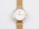 Daniel wellington Evergold Dameklokke Daniel Wellington ADW00100350