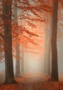 Autumn Dream Poster Plakat / 100x150cm