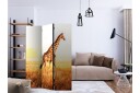 Kadira Rumsavdelare 135x172 cm VALUE_MISSING_1 -