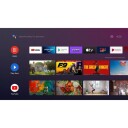Finlux 55-FAG-9060