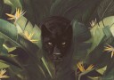 Black Panther Jungle Gaze Plakat Plakat / 50x70cm