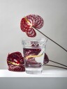 Bergs Potter Københavner glassvase ø15 cm klar