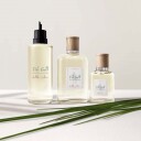 Ralph Lauren Polo Earth Antilles Vetiver 100 ml