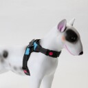 LEO-K9 hundesele i pustende air mesh materiale
