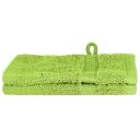  Gjesthåndkle SOLUND 2 pcs grønn 15 x 21 cm 550 gsm