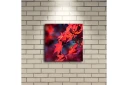 Lerretsbilde med LED belysning 28x28 cm Klart rødt lønneblad i høstfarger Rød / Oransje / Mørk blå