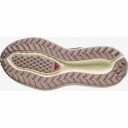 Salomon Women's Aero Glide 3 Grvl Burnt Ochre/vanilla Ice/etherea 40