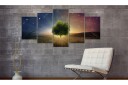 Bilde Starry Nights 200x100 Artgeist sp. z o. o.